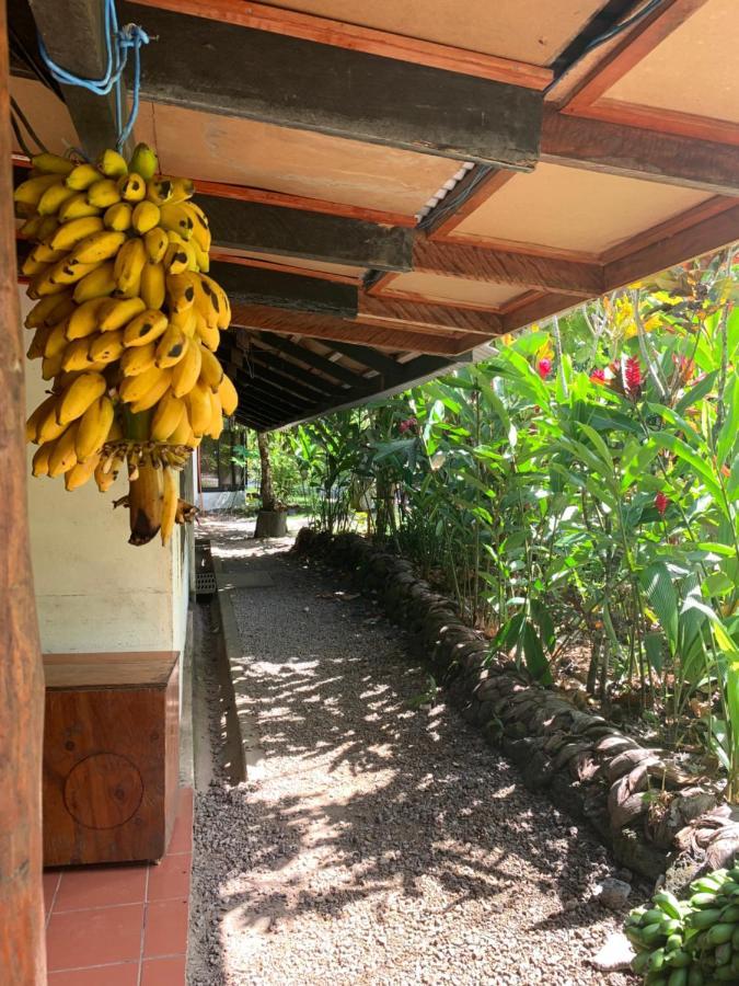 Lusia'S Lagoon Chalets Salelologa Exterior foto